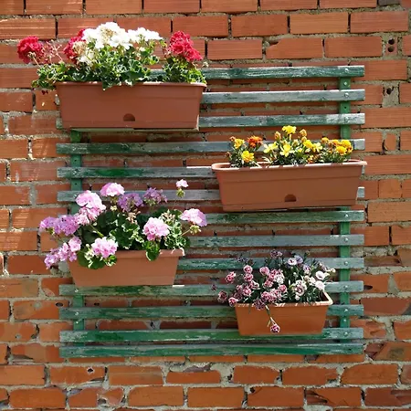 La Casa - Solo Peregrinos Hostel *